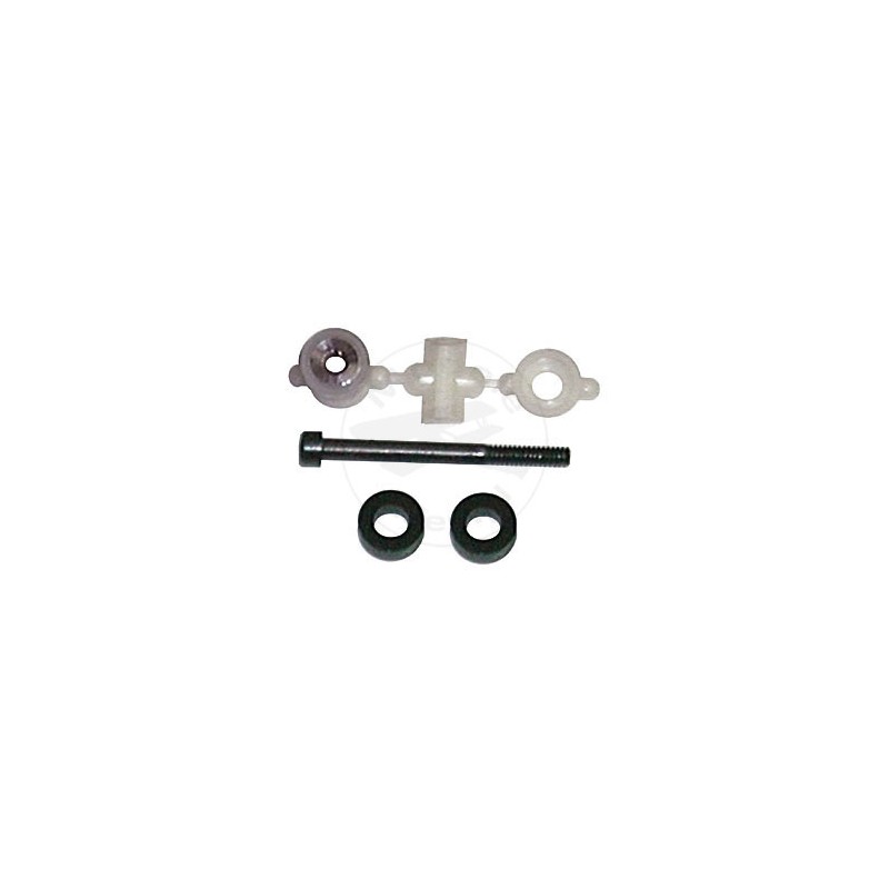 TEAM ASSOCIATED T-nut & Diff Bolt