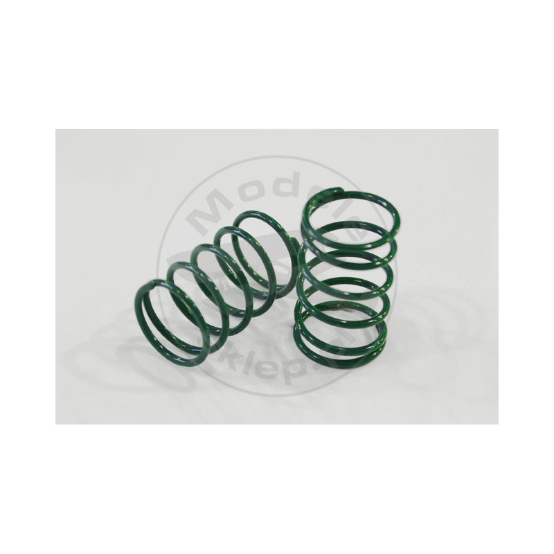 TEAM ASSOCIATED Tc Green Spring 12.0 Lb