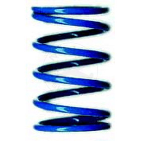 TEAM ASSOCIATED Tc Blue Spring 17.0 Lb