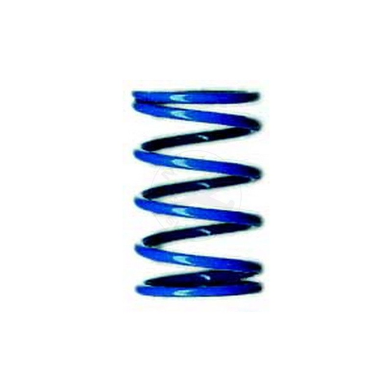 TEAM ASSOCIATED Tc Blue Spring 17.0 Lb