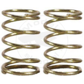 TEAM ASSOCIATED Tc Gold Sprng 19.5 Lb
