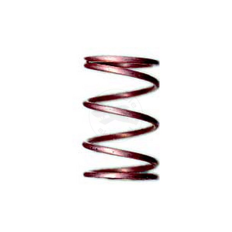TEAM ASSOCIATED Tc Copper Spring 25.0 Lb