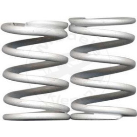 TEAM ASSOCIATED Tc White Spring 40.0 Lb