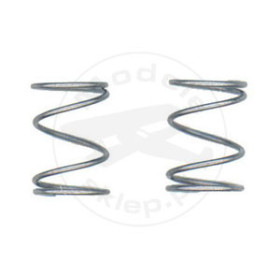 TEAM ASSOCIATED .014 Springs