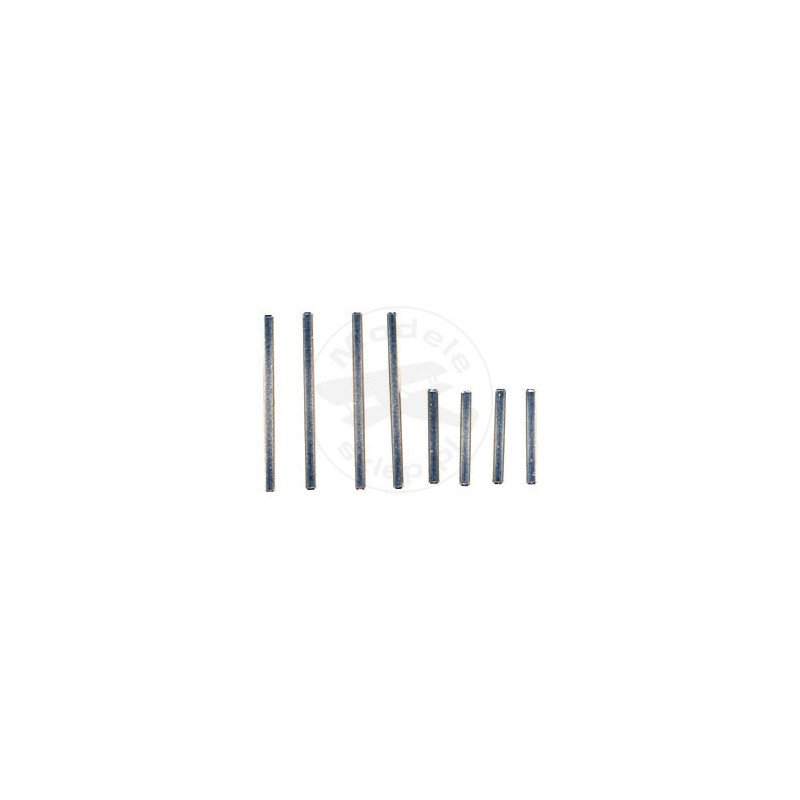 TEAM ASSOCIATED 18t Hinge Pin Set