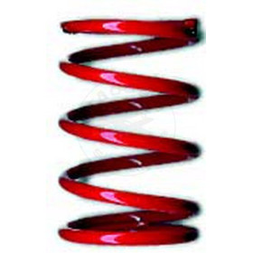TEAM ASSOCIATED Tc Red Spring 22.0 Lb
