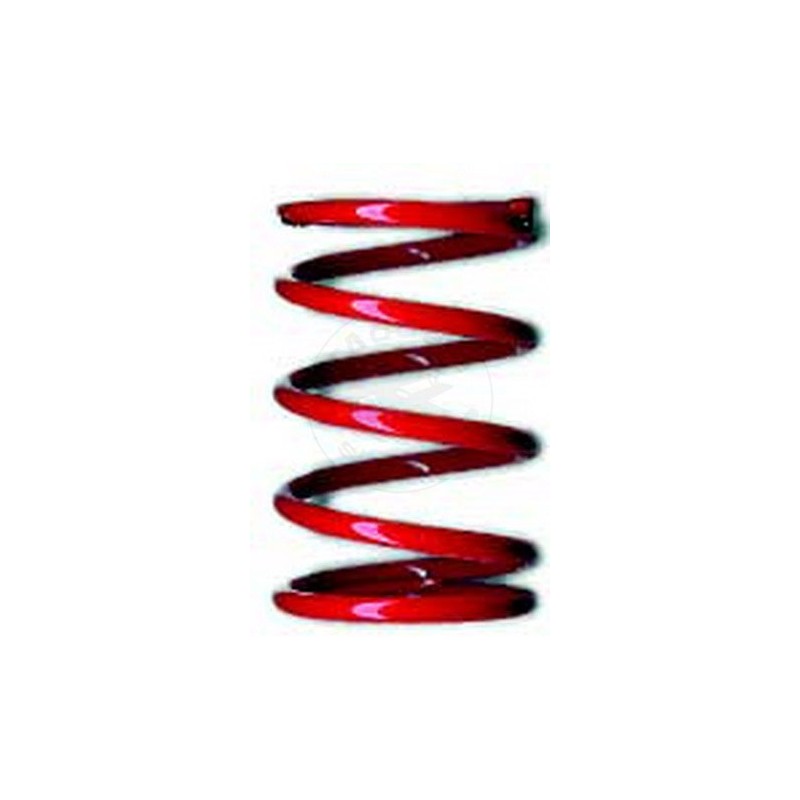 TEAM ASSOCIATED Tc Red Spring 22.0 Lb