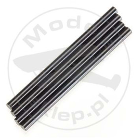 TEAM ASSOCIATED Piny wahaczy / Tc5 Inner Hinge Pin Set
