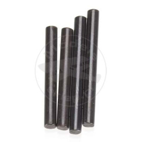 TEAM ASSOCIATED Tc5 Outer Hinge Pin Set