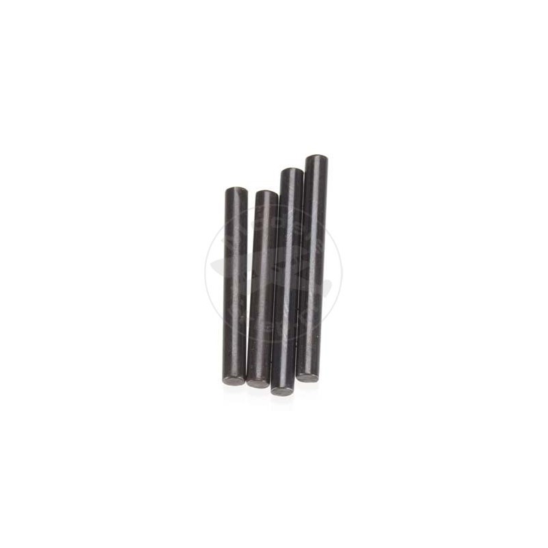 TEAM ASSOCIATED Tc5 Outer Hinge Pin Set