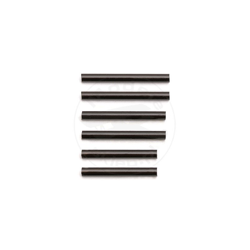 TEAM ASSOCIATED Outer Hinge Pin Set B4