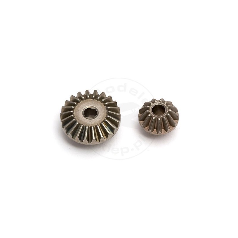 TEAM ASSOCIATED Mmgt Main Bevel Gear Set