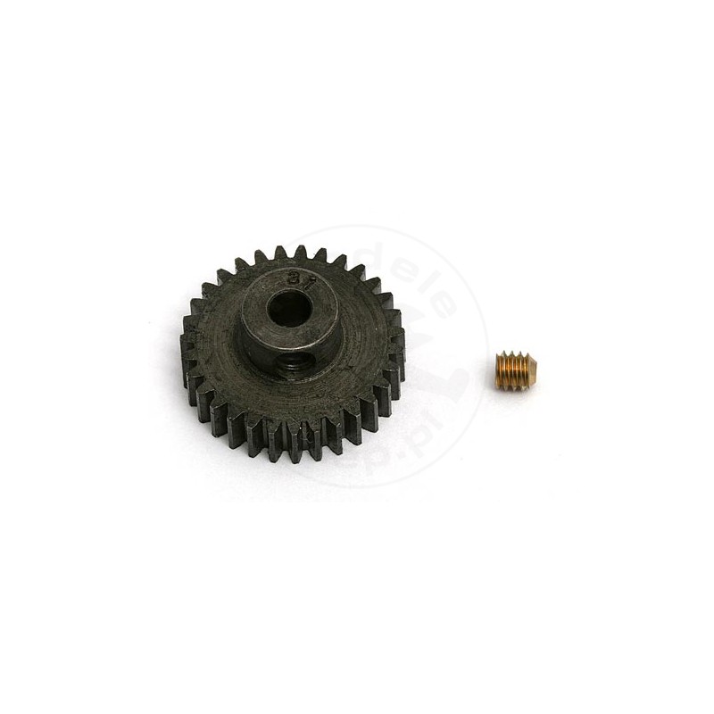 TEAM ASSOCIATED 31 Tooth 48 Pitch Pinion Gear