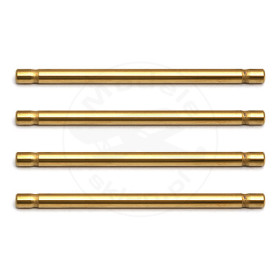 TEAM ASSOCIATED Rc8b Inner Hinge Pins