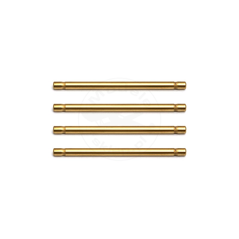 TEAM ASSOCIATED Rc8b Inner Hinge Pins