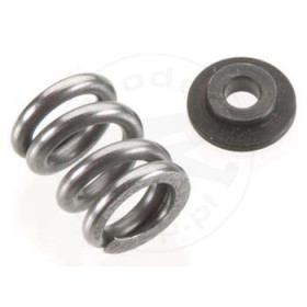 TEAM ASSOCIATED V2 Slipper Spring/washer