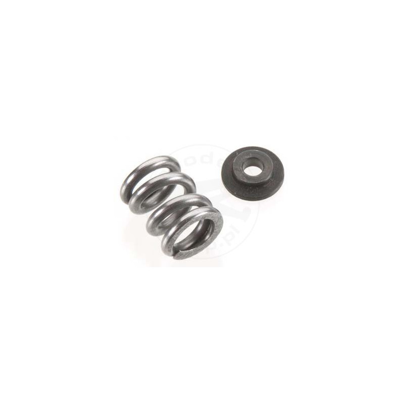 TEAM ASSOCIATED V2 Slipper Spring/washer