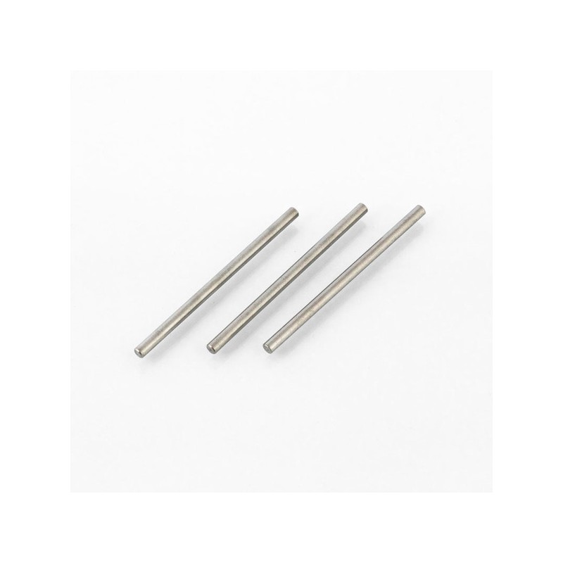 SST RACING 09133 Inside hinges 356 6P