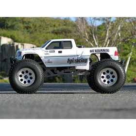 HPI RACING GT GIGANTE TRUCK BODY