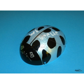 RMS V929 - kabina modelu