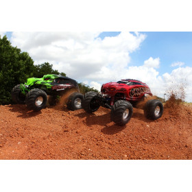 TRAXXAS Skully 2WD 1/10 Monster Truck (36064-1)
