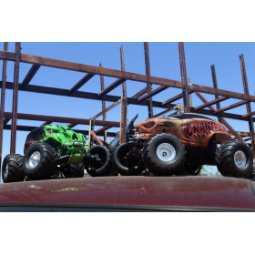 TRAXXAS Skully 2WD 1/10 Monster Truck (36064-1)