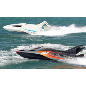 FEILUN Łódź wyścigowa Aqua-Mania 2,4GHz RTR