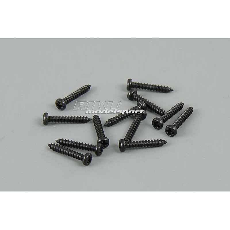 BSD RACING Śruby 2x12mm 12szt. Dune Racer 218T