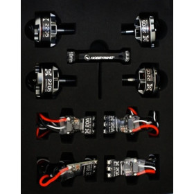 HOBBYWING Zestaw napędowy XRotor 2205 2600KV + 30A Micro BLHeli