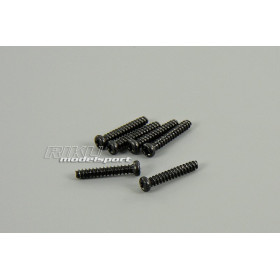 XINLEHONG TOYS Śruby 2.3 x 16mm (6szt.) do Racer Truggy / Wild Challenger