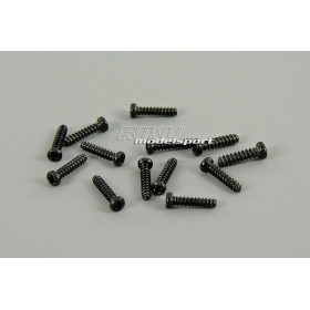 XINLEHONG TOYS Śruby 2.3 x 10mm (13szt.) do Racer Truggy / Wild Challenger