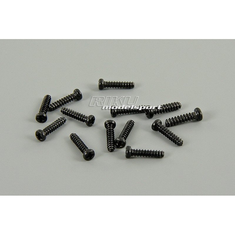 XINLEHONG TOYS Śruby 2.3 x 10mm (13szt.) do Racer Truggy / Wild Challenger