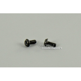 XINLEHONG TOYS Śruby 2.5 x 6mm (2szt.) do Racer Truggy / Wild Challenger