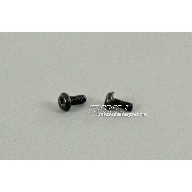 XINLEHONG TOYS Śruby 2.5 x 6mm (2szt.) do Racer Truggy / Wild Challenger