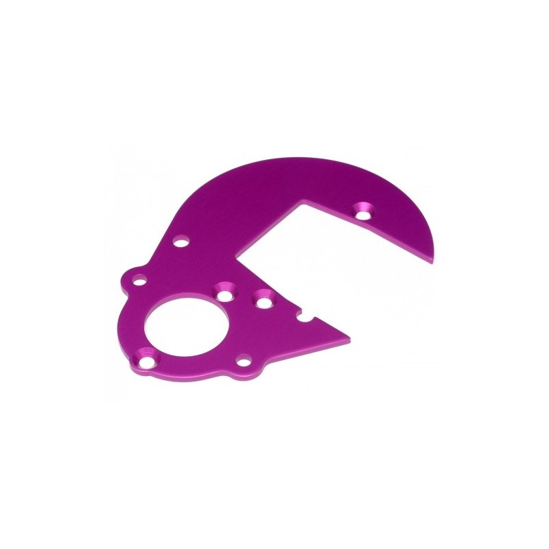 HPI RACING GEAR PLATE (PURPLE)