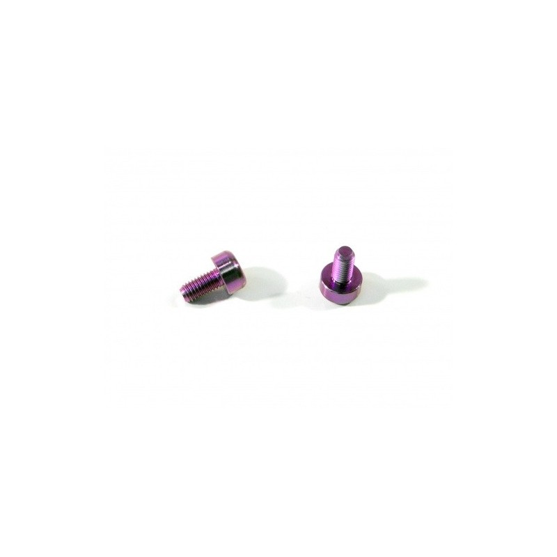 HPI RACING TITANIUM MOTOR SCREW M3X6MM (2PCS/PURPLE)