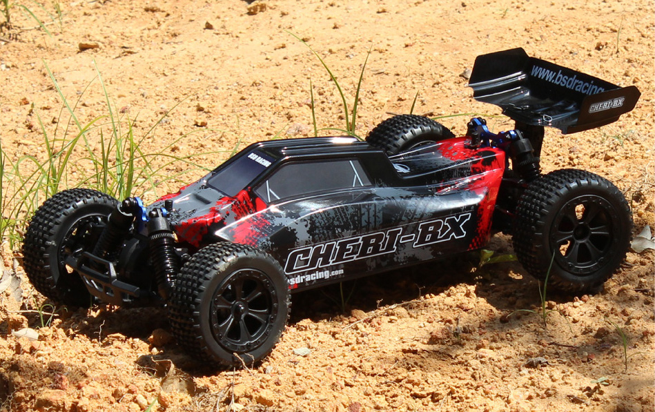 BSD RACING Buggy Chebi BX 213T 1/10 4WD