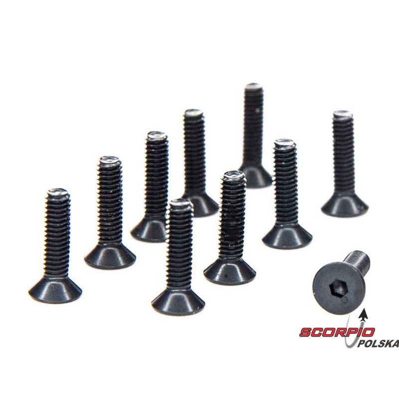 AXIAL śruba imbus M2.5x10mm FH (10)