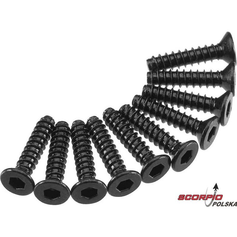 AXIAL AXA1260 Śruba imbus FH M2.5x12mm (10)
