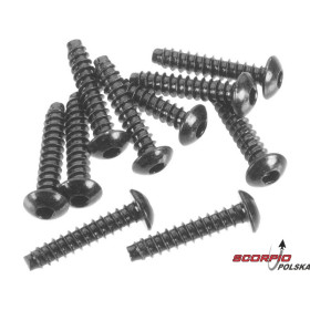 AXIAL AXA0437 Śruba BH M3x15mm czarna (10)