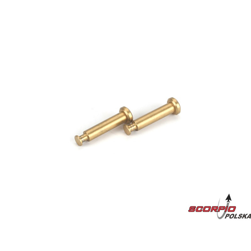 Hinge Pins 4x21mm TiN: 8B (2)
