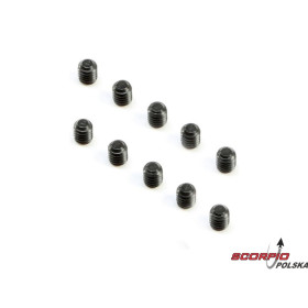 Śruba CP M2.5x3mm (10)