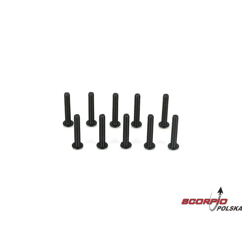 Button Head Screws M3 x 18mm (10)
