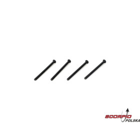 Button Head Screws M3 x 44mm (4)