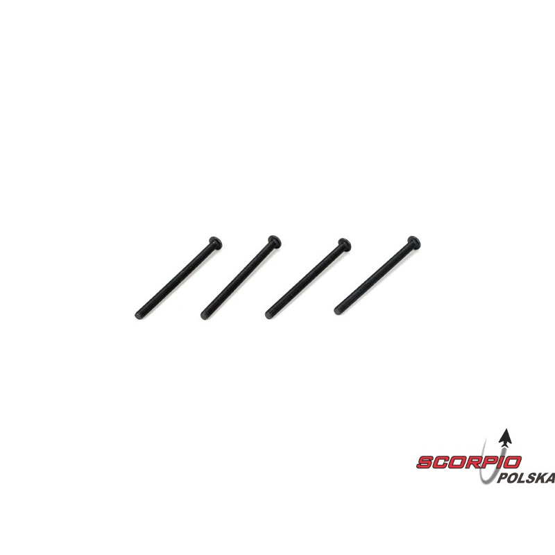 Button Head Screws M3 x 44mm (4)