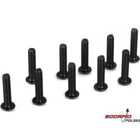 Button Head Screws. M3 x 14mm (10)