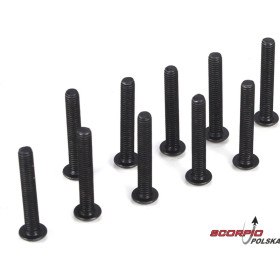 Button Head Screws. M3 x 20mm (10)