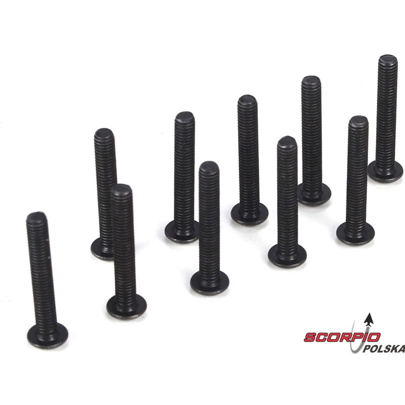 Button Head Screws. M3 x 20mm (10)