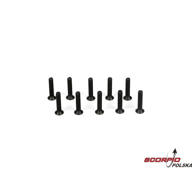 Flathead Screw M3 x 16mm (10)