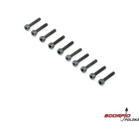 Śruba CH M2x10mm (10)